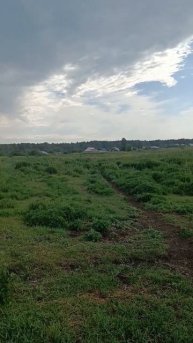 долгожданная прохлада