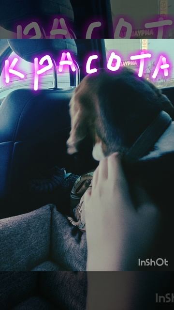 удивительная Гера 5