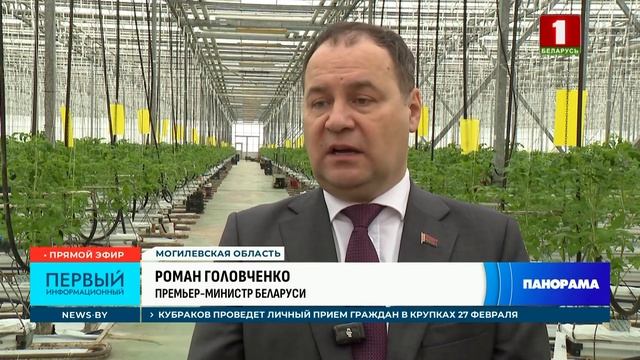 Свои овощи! Развитие тепличного хозяйства в Беларуси. Панорама