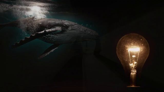 Amshara - Знаю, умру на заре (М. Цветаева)