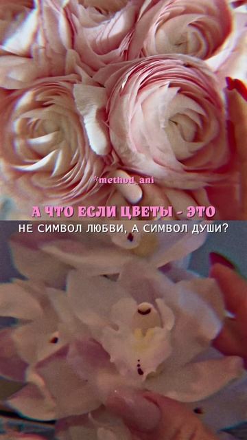 Геометрия цветов