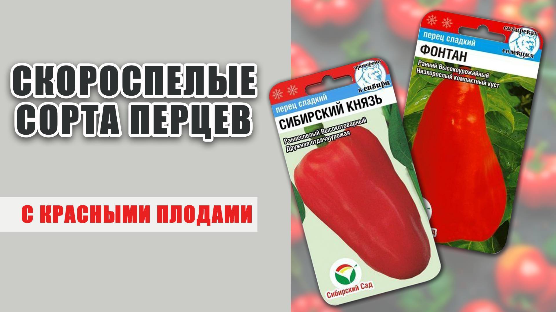 Скороспелые сорта перцев в красными плодами от агрофирмы Сибирский Сад