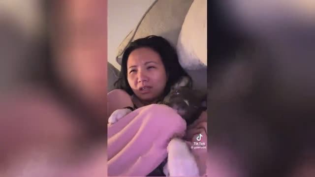 Best video of Tik Tok! 14.02.25 / 05