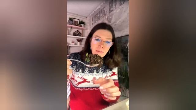 пикирование петунии