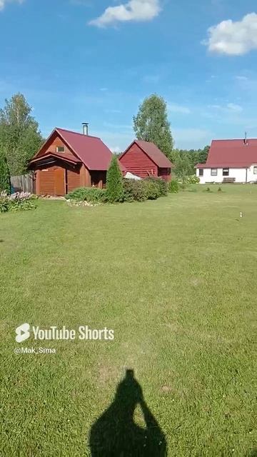 Лето! Что скажете_