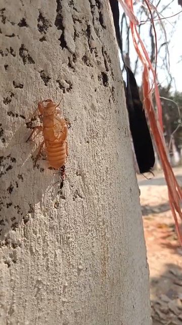 ক্ষমতার বাহাদুরি করতে নেই