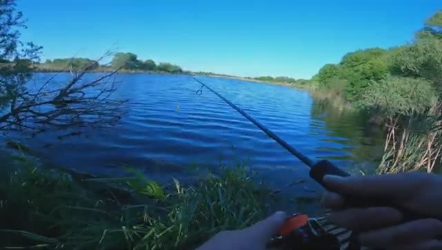 Приехал на новый водоем. Изучаю на предмет хищной рыбы.