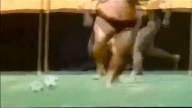 Video 5 - Chinos o Japoneses ganan Pepsis jugando futbol