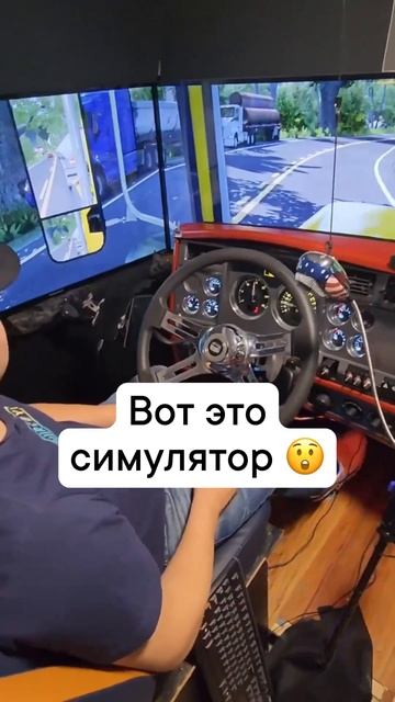 СИМУЛЯТОР