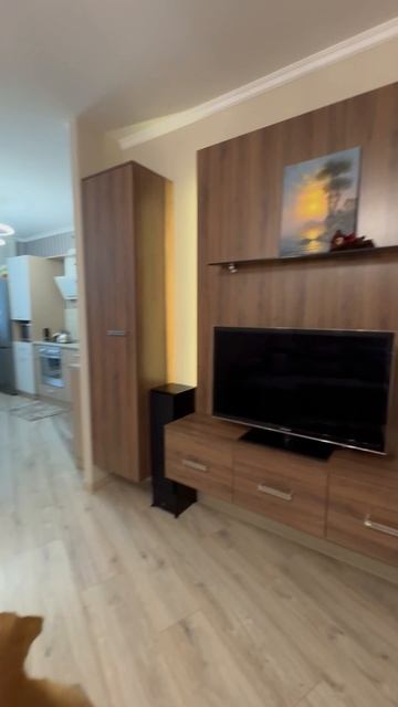 video-output-31472BBE-3106-4073-B5C0-034E361C0FA0