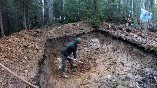 Лесные - землянка после первой зимы - что увидели, когда вернулись