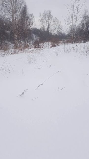прогулка