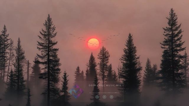 Sunset Stillness ~ Emotion Deep Chill Songs