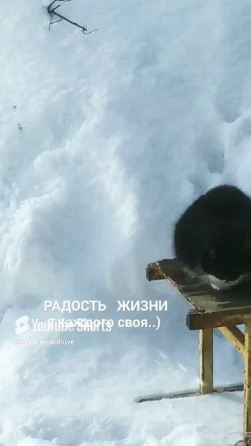 Радоваться жизни!