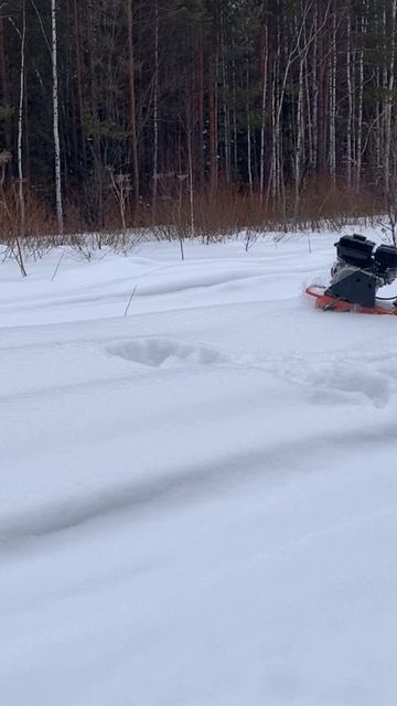 БЕШЕНАЯ ТАБУРЕТКА ПО МЕТРОВОМУ СНЕГУ.