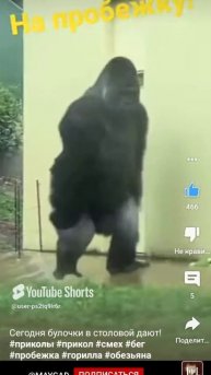 на обед