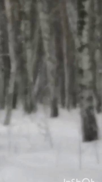 вот дак встреча