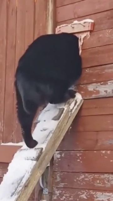 У бабушки всегда сытнее 🤪