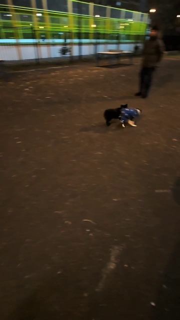 бой насмерть.mp4
