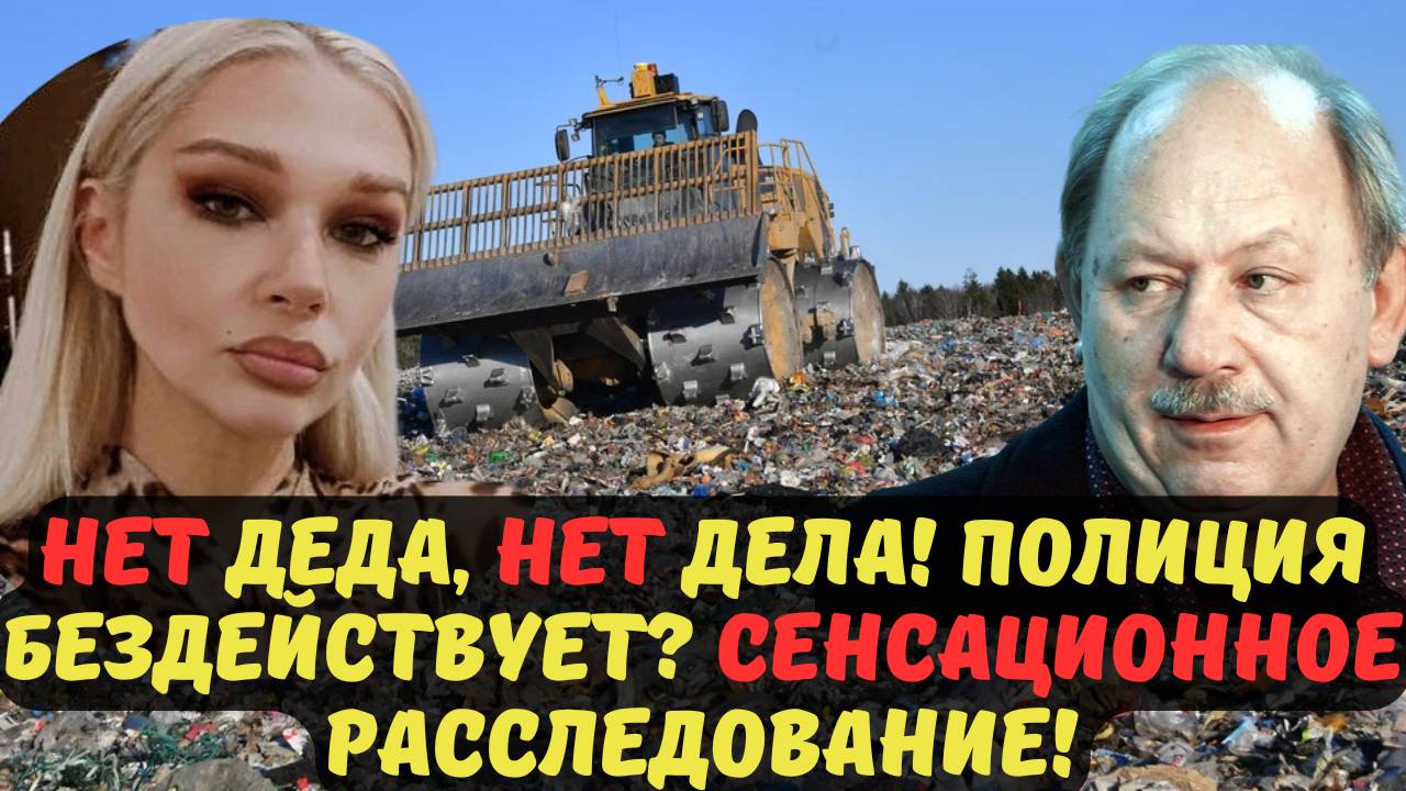 НЕТ ДЕДА, НЕТ ДЕЛА! ПОЛИЦИЯ БЕЗДЕЙСТВУЕТ? СЕНСАЦИОННОЕ РАССЛЕДОВАНИЕ!