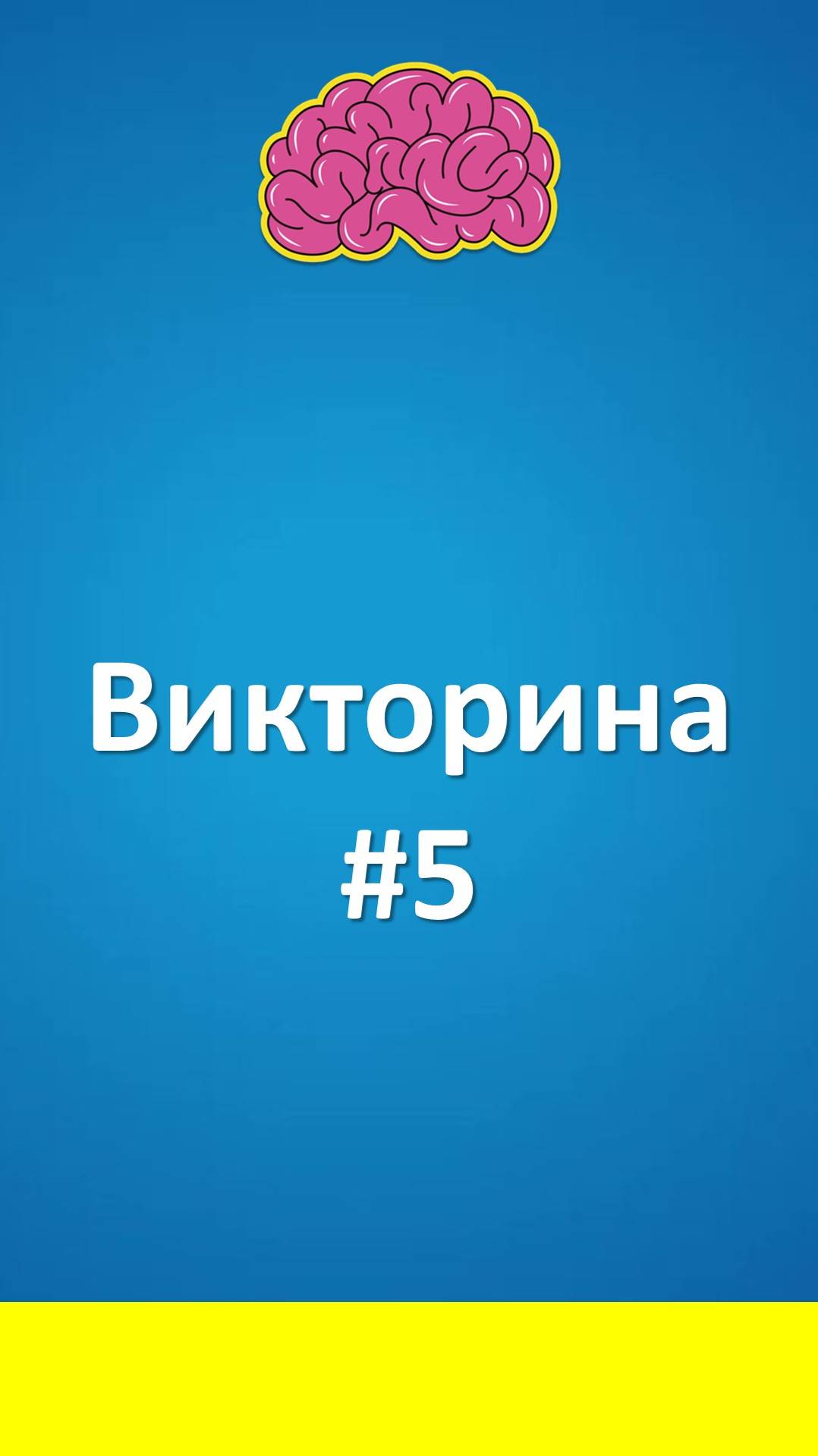 Викторина #5