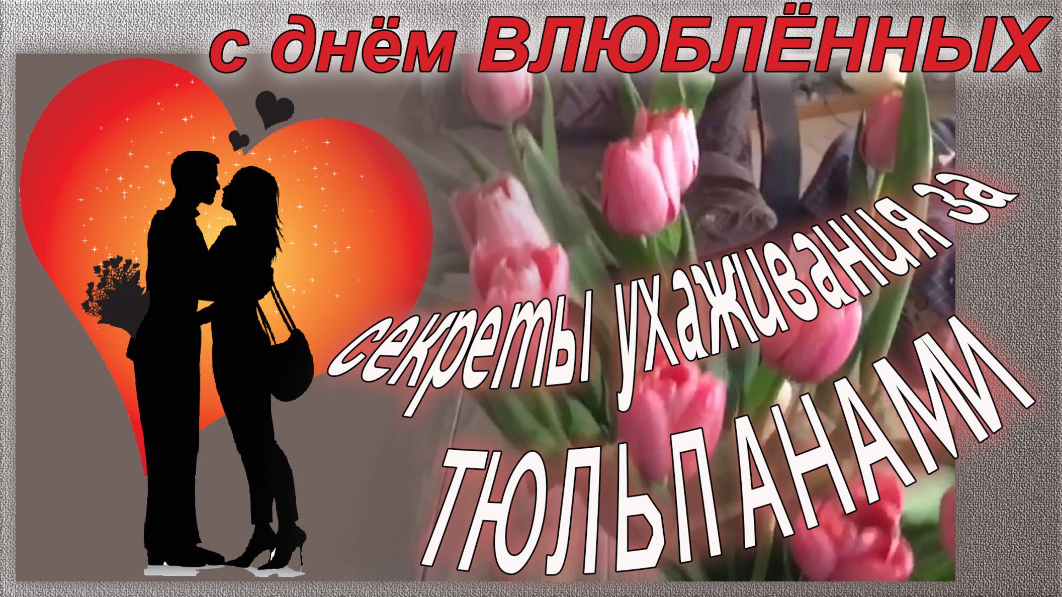 Как ухаживать за тюльпанами. Проверяем ТРИ способа. ( С днём влюблённых