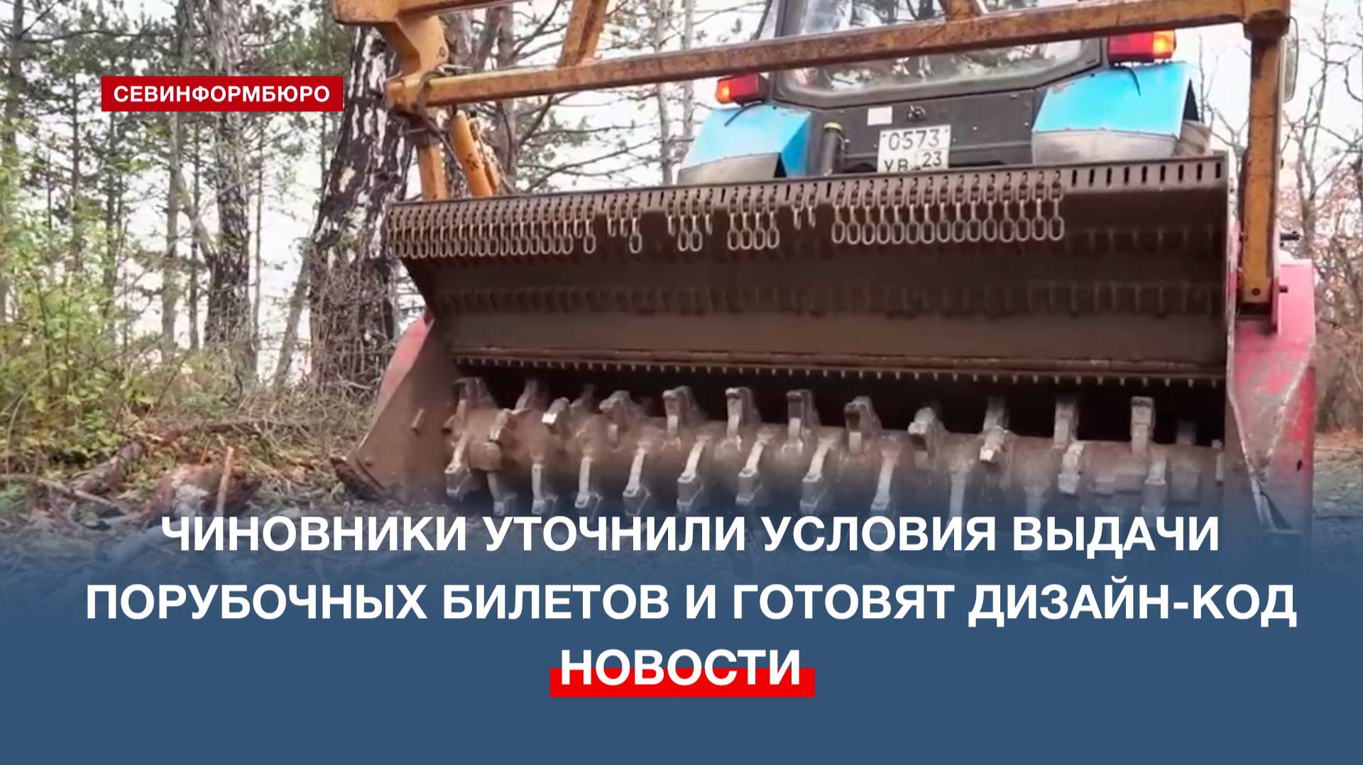 Власти Севастополя уточнили условия выдачи порубочных билетов и готовят дизайн-код города