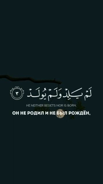 Сура «Аль»Ихляс» спокойное чтение! #коран #quran #islam #ихляс #сура