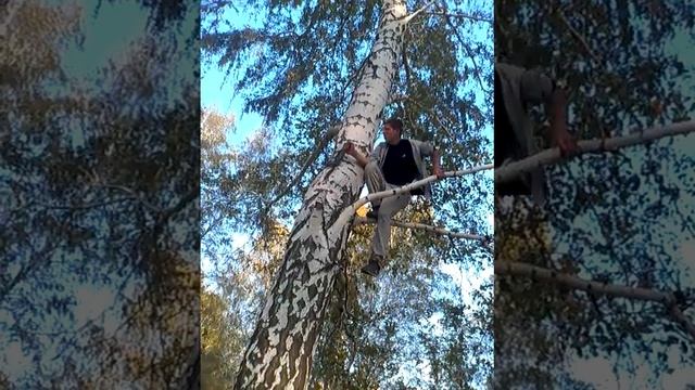 Кукушка