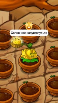 миниатюра №99 - растения против зомби #пвз #pvz #shorts