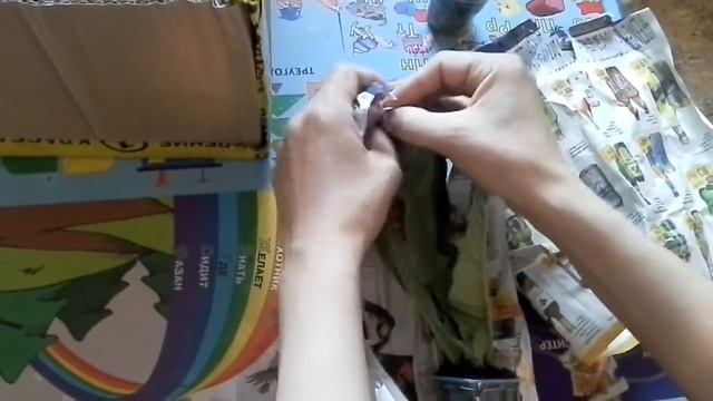 Стрептокарпусы почтой,  часть 1.