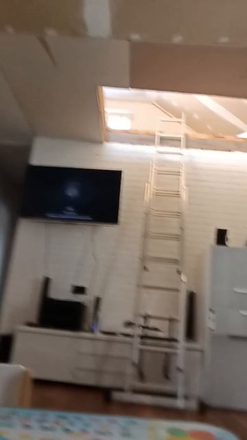scene_output.mp4