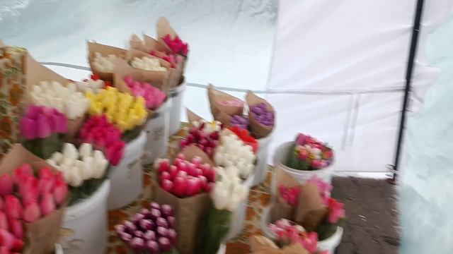 Видеообзор палаток 🌷 к празднику около центрального рынка города Бреста. Часть 1.