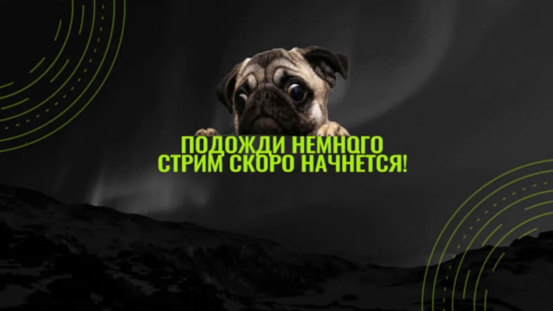 1 стрим с сестрой