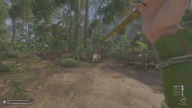 グリーンヘル　精霊の守り人　猫との戯れ