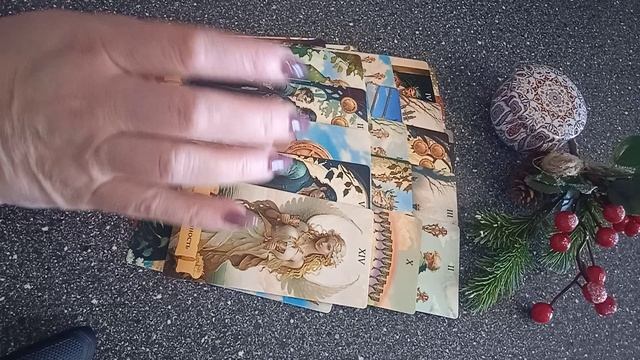VID_20250214_123537.mp4