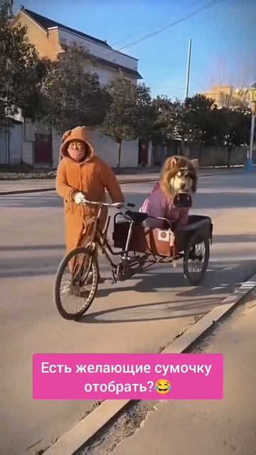 А давай, хозяйка, понесу твои вещи, а ты меня😂