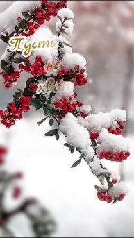 С добрым зимним утром!