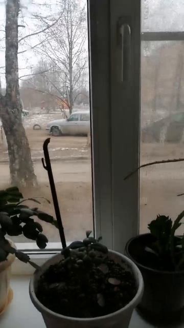 завтрак 14.02.2025