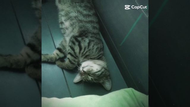 Мой пупсик💋🎀