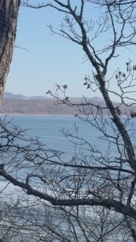 Выходной….