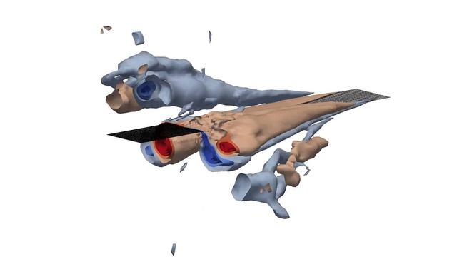 3D visualization of the fluid flow around a flexurally vibrating beam