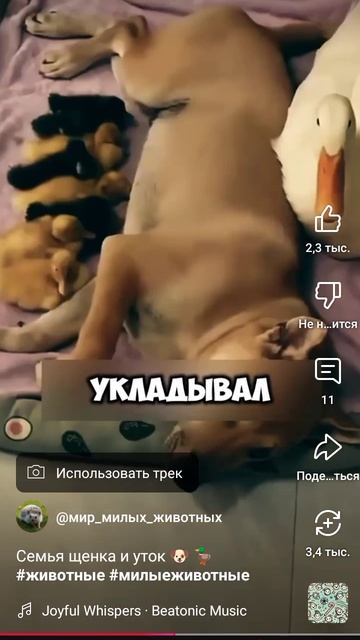 1000002662.mp4