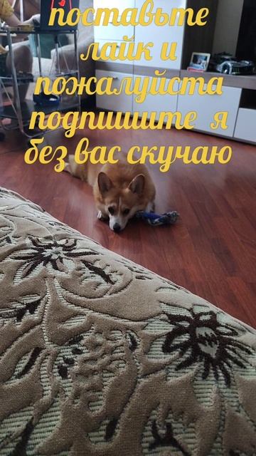 аф