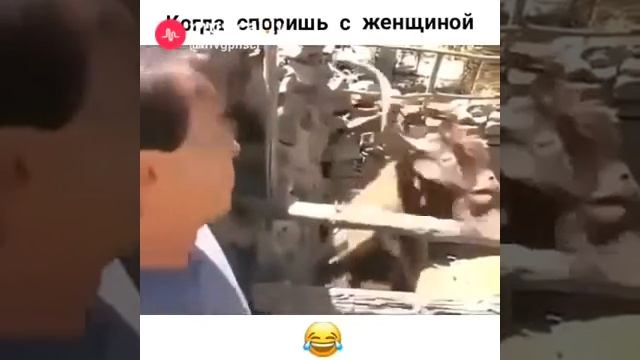 Когда споришь с женой