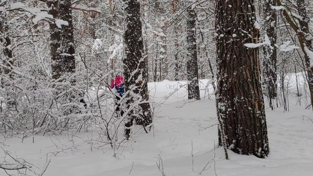 Сибирская зима. Прогулка по лесу. Релакс вилео.
