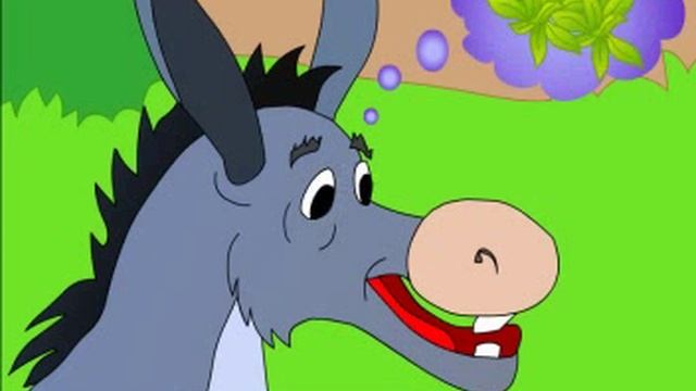 Donkey Donkey