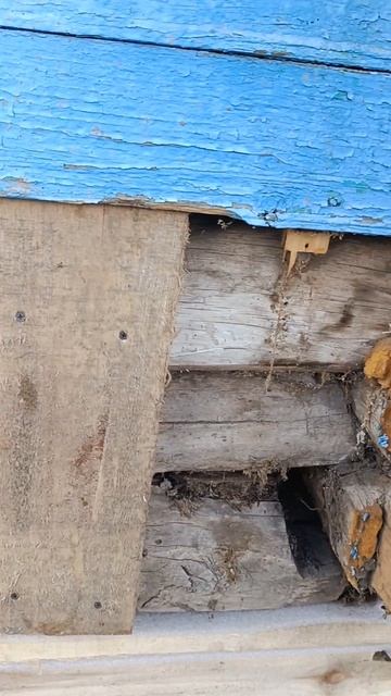 Поставили дом на фундамент #строимсами