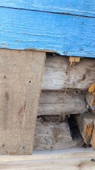 Поставили дом на фундамент #строимсами