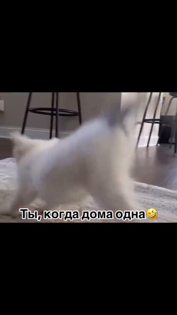 Отправь подруге🤣